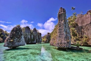 Raja Ampat Resort memulai program donasi untuk melindungi kehidupan laut