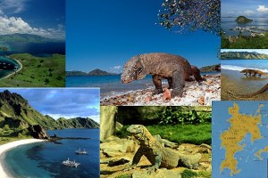 BELUM PERNAH KE PULAU KOMODO? INTIP DISINI VIDEONYA, DIJAMIN BIKIN NGILER!!!