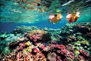 TURIS ASAL CHINA TEWAS TENGGELAM SAAT SNORKLING DI NUSA PENIDA