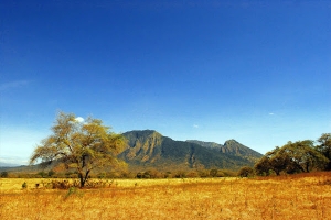 10 TEMPAT WISATA YANG WAJIB DIKUNJUNGI SAAT BERADA DI BANYUWANGI